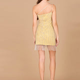 One Shoulder Fringe Short Dress
