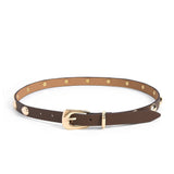 Teardrop Studded Belt in Coffee