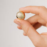 Polished Pebble Stud Earrings