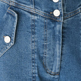 BRIAR BLUE FLARED DENIM PANTS