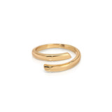Wrap Around Ring