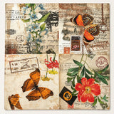 Airy Silk Cotton Everyday Scarf