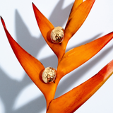 Collins Geometric Bold Earrings